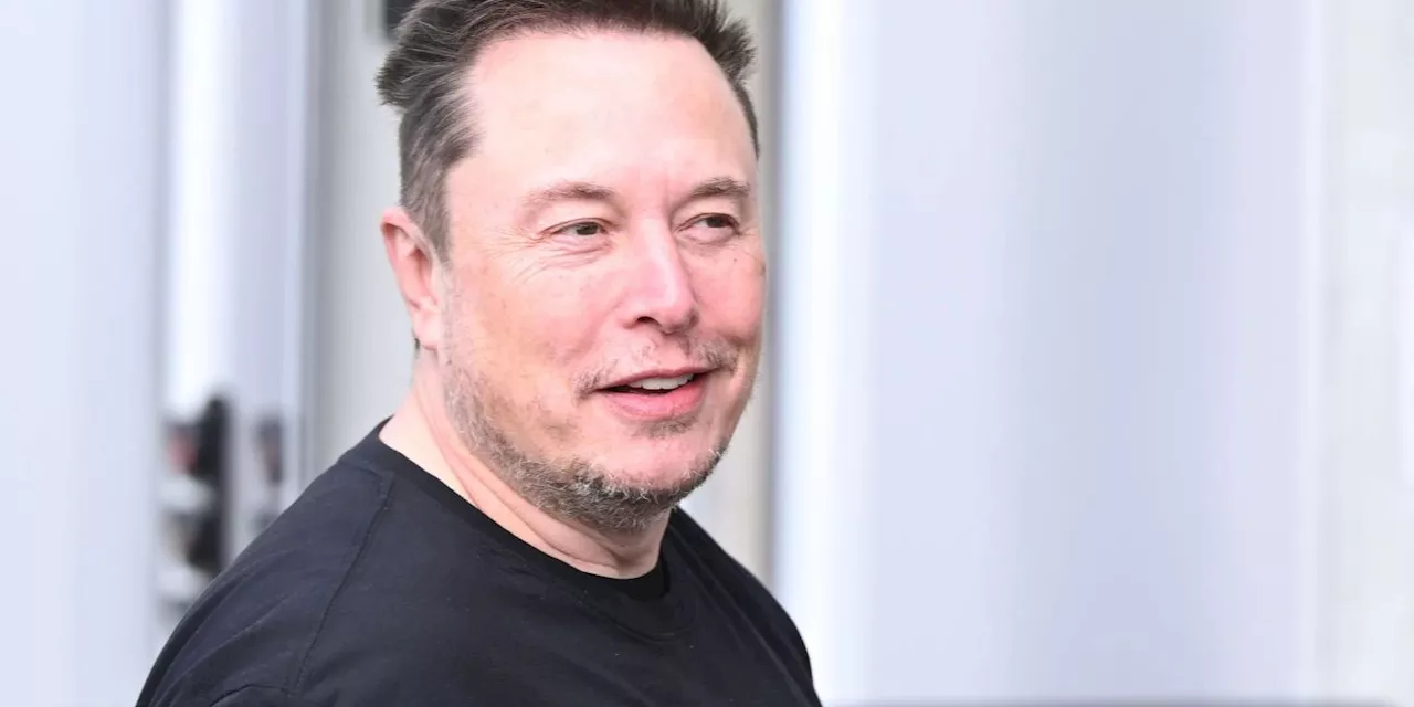 Musk sammelt weitere 5,4 Milliarden Franken für seine KI-Firma ein