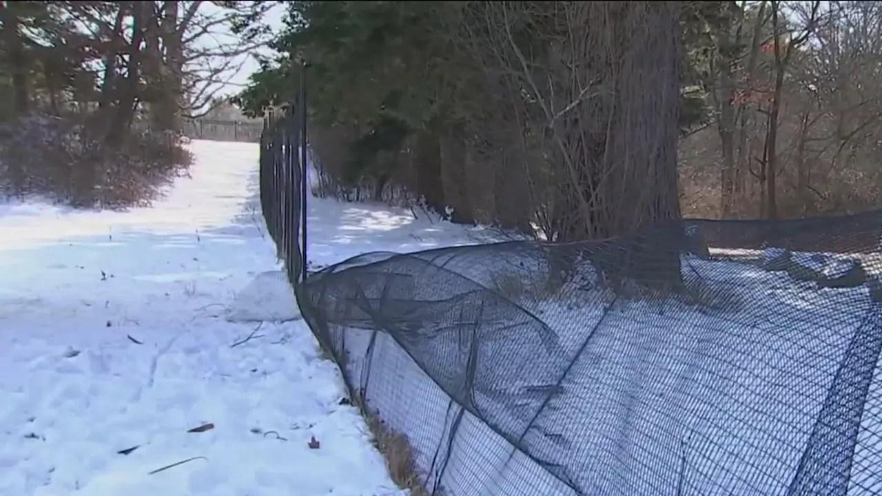 Sledding Spot Fence Torn Down in Massachusetts