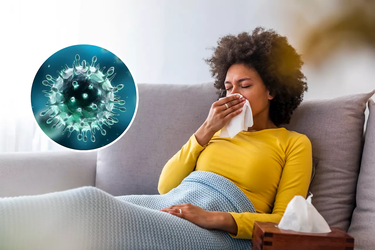 Understanding Influenza A: A Breakdown of the Flu Virus