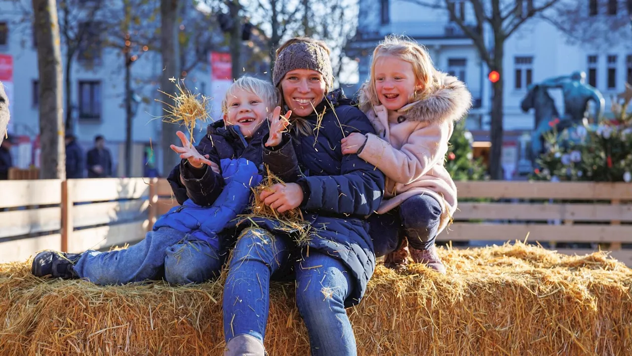 Baden: Advent im Park war auch 2024 höchst erfolgreich