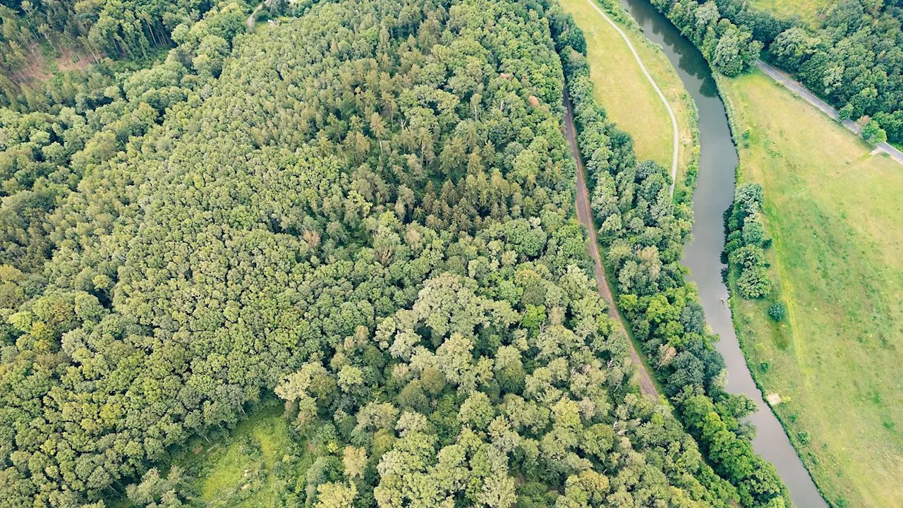 Vermisste in Sachsen: Hunderte Fälle pro Jahr