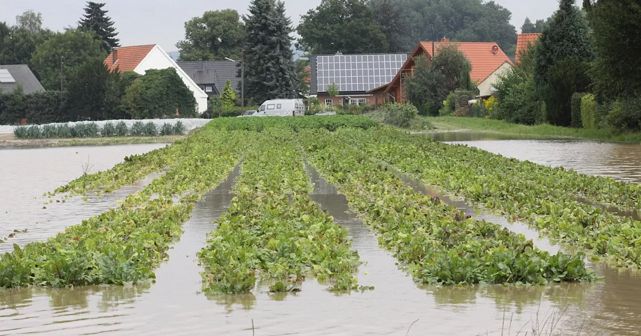 Starkregen in Löhne: Stadt bereitet sich auf Hochwasser vor