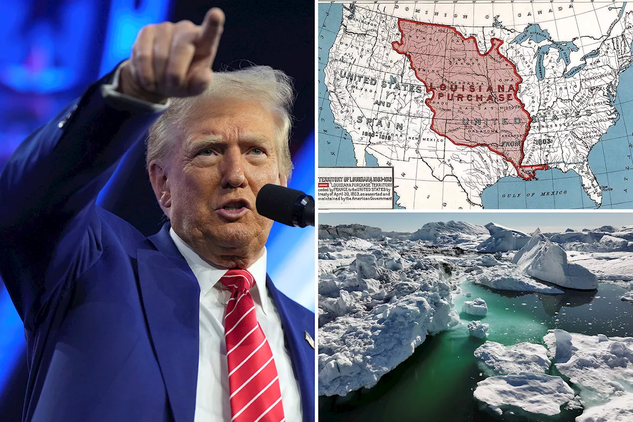 Trump Revives Plan to Buy Greenland