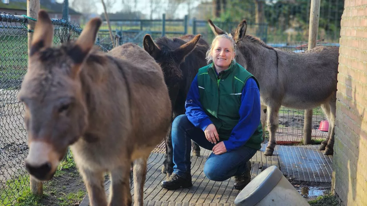 Stichting Anniemals zoekt dringend nieuwe locatie