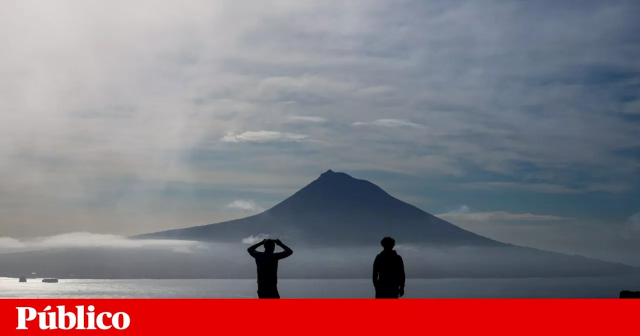 Um novo medicamento, Michelin em Portugal, mais professores na escola: 11 boas notícias de 2024