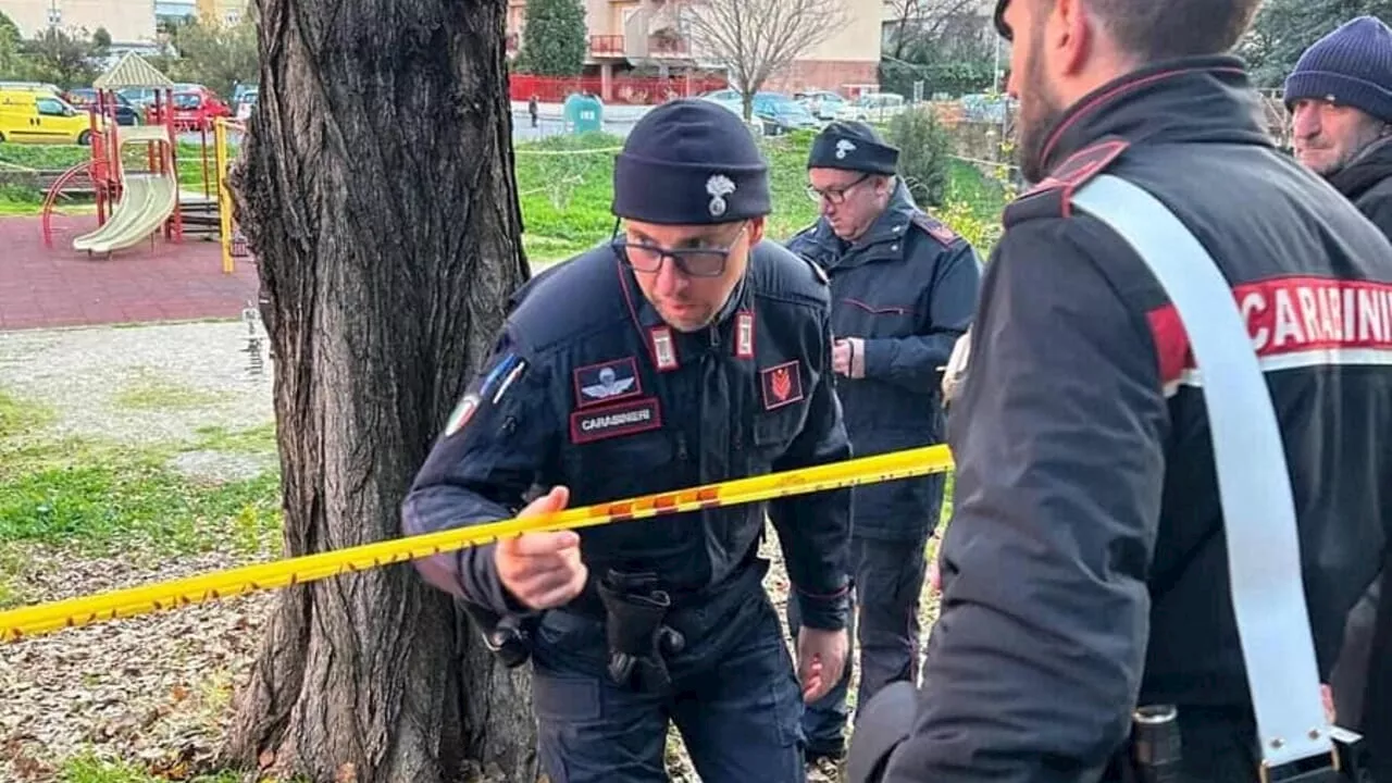 Tragedia al Parco Livio Labor: Professoressa Schiacciata da un Albero