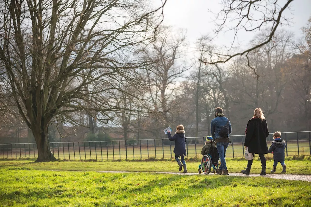 Discover Shropshire's Winter Walking Wonders