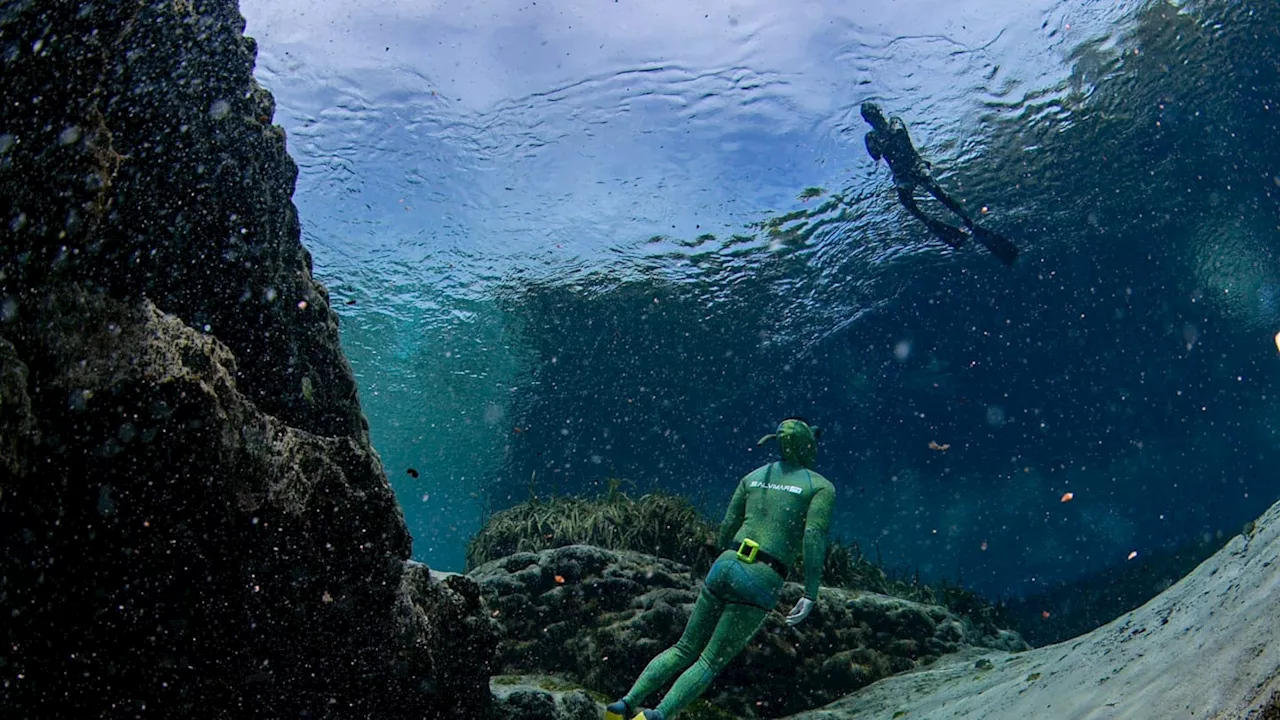 2,500-Year-Old Shipwreck Unearthed off Sicily's Coast