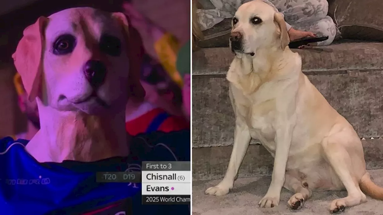 Darts Fan Dresses as Peter Lovenkrands' Dog for Best Dressed