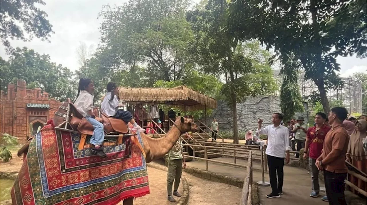 Jokowi Liburan Akhir Tahun di Solo Safari Bersama Keluarga