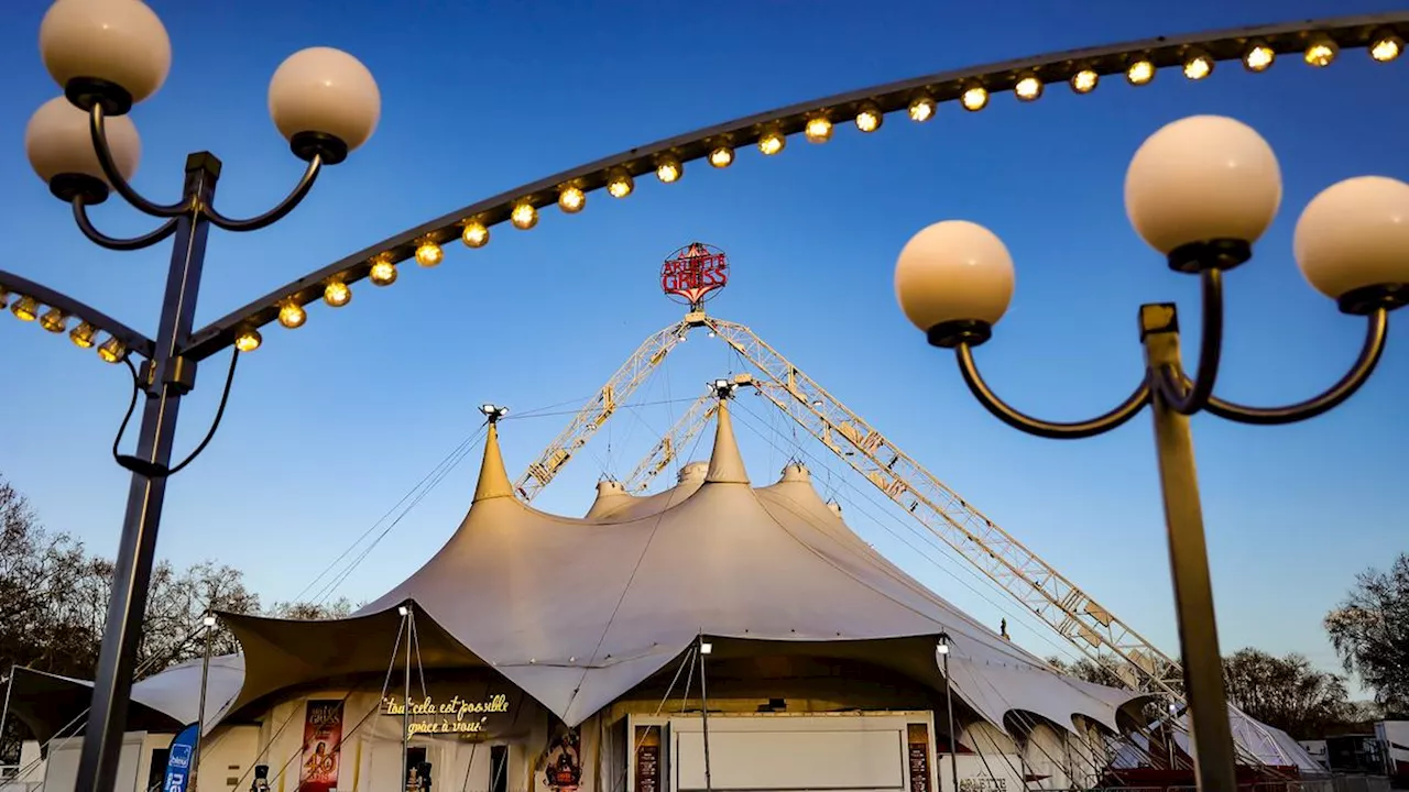 Le chapiteau du cirque Arlette Gruss s’est installé à Bordeaux pour un mois