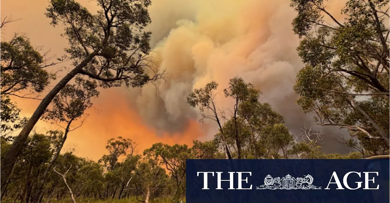 Grampians Bushfire: Residents Race to Prepare as Dangerous Conditions Loom on Boxing Day