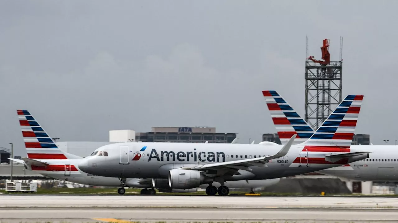 American Airlines temporarily grounds all flights due to 'technical issue'