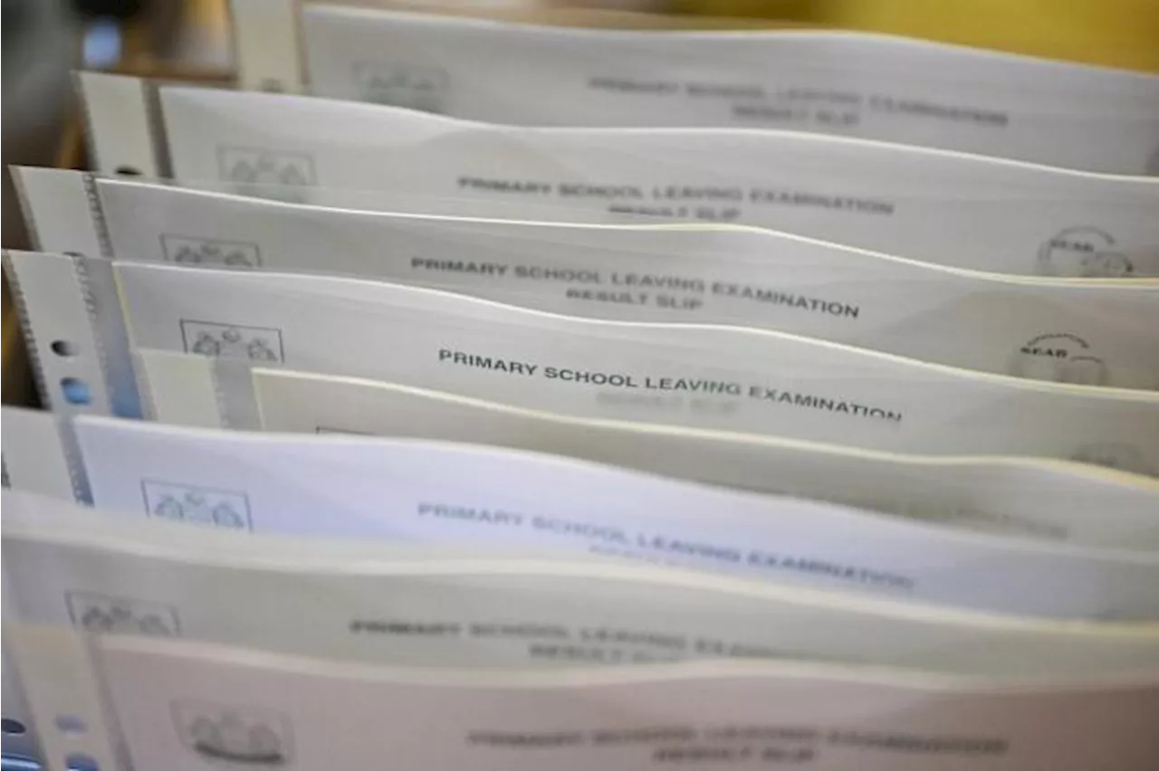 Possible Cut-Off Changes in Singapore Secondary 1 Posting Due to Dragon Year Cohort