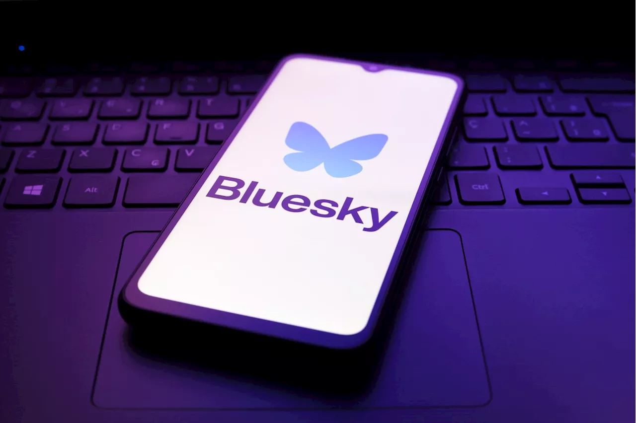 Bluesky Sees Explosive Growth, Facing Challenges From Bots and Spam