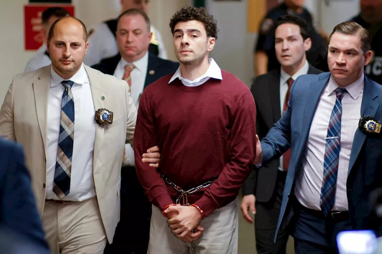 26-år gamle tiltalt for drap og terror i New York