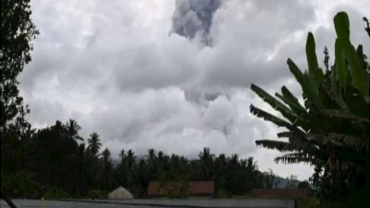 Gunung Ibu Erupsi Keluarkan Kolom Abu Tebal