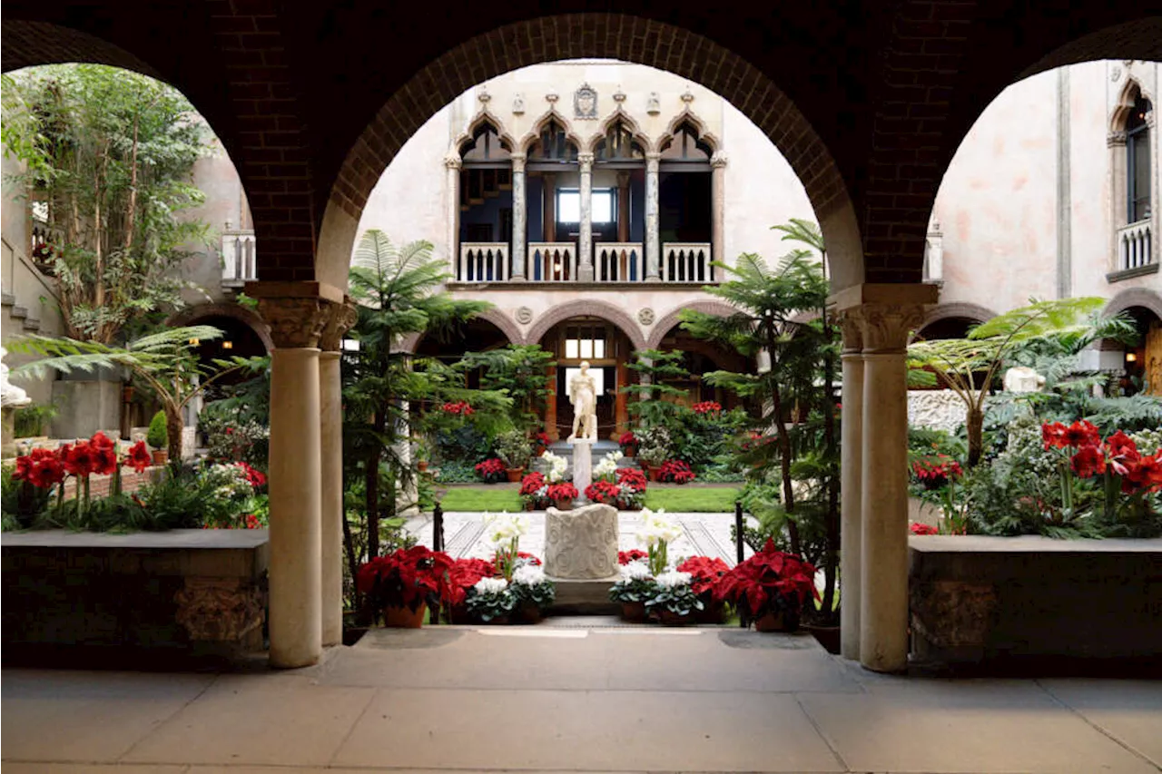 Gardner Museum's Festive Plant Display Continues a Century-Old Tradition