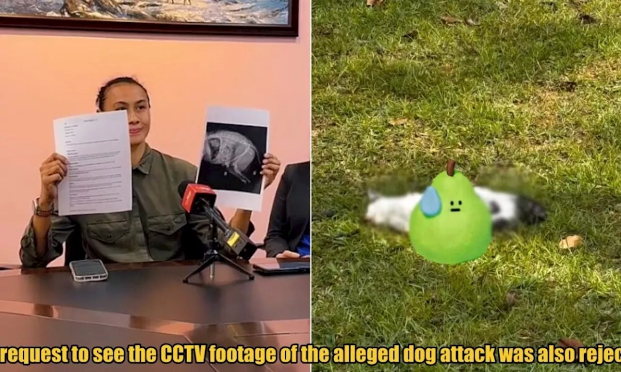 Animal Activist Debunks Police Claim: Mutilated Cats Did Not Die in Stray Dog Attack