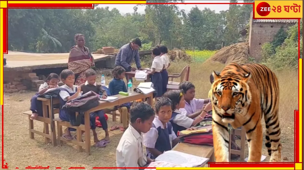 Tiger in Purulia: উলটপুরাণ! বাঘের আতঙ্কে সবাই যখন ঘরে, তখন খোলা আকাশের নীচে স্কুল করছে কচিকাঁচারা...