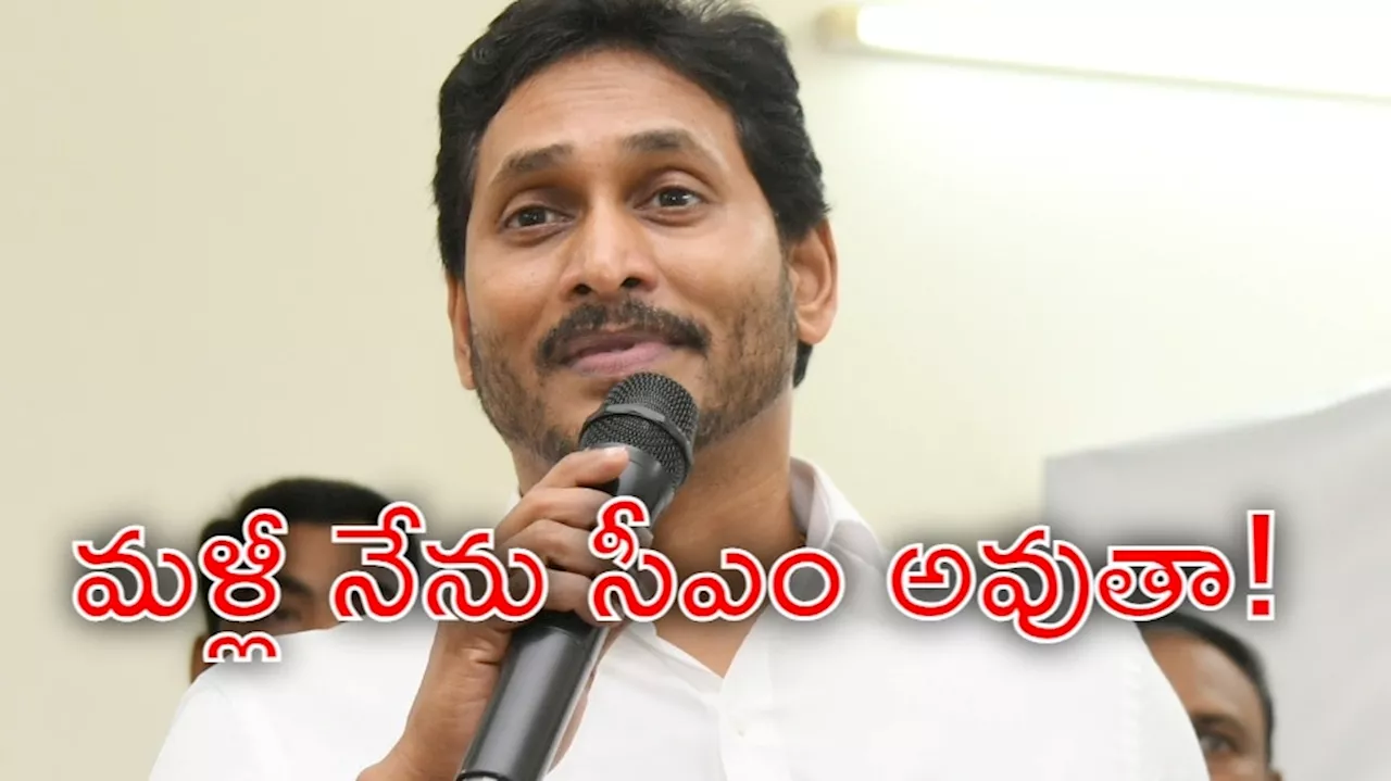 YS Jagan: వైఎస్‌ జగన్‌ సంచలన వ్యాఖ్యలు.. జమిలి వస్తుంది మీ జగన్ గెలుస్తున్నాడు!