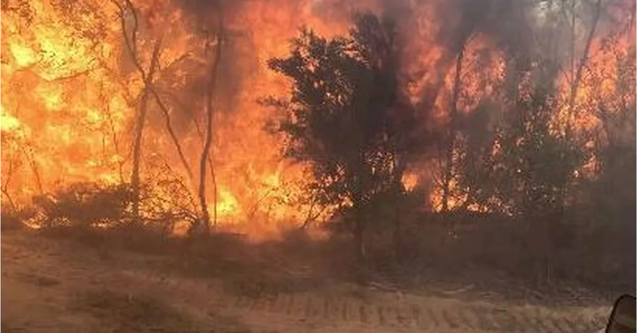 Emergency Warning Issued for Victorian Towns as Bushfire Rages