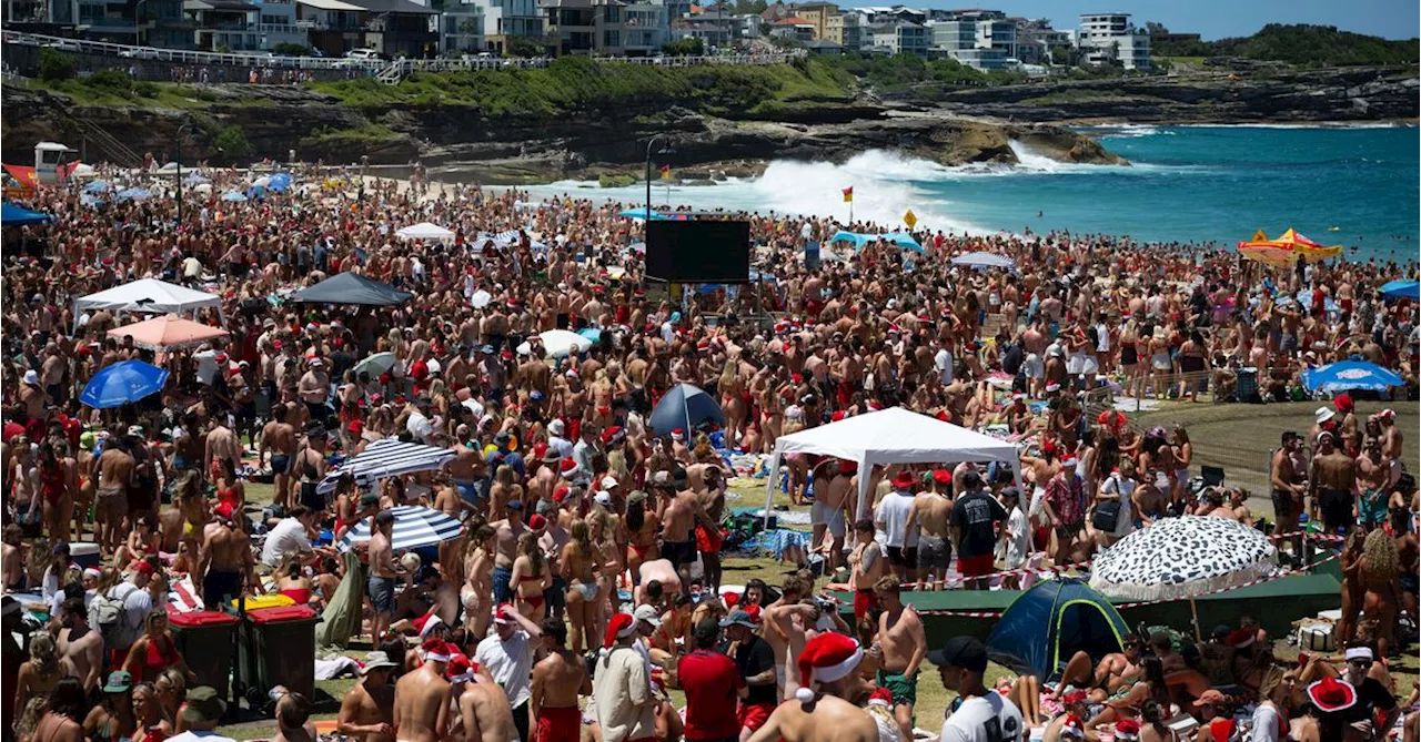 Sydney Beachgoers Enjoy Perfect Christmas Day Weather