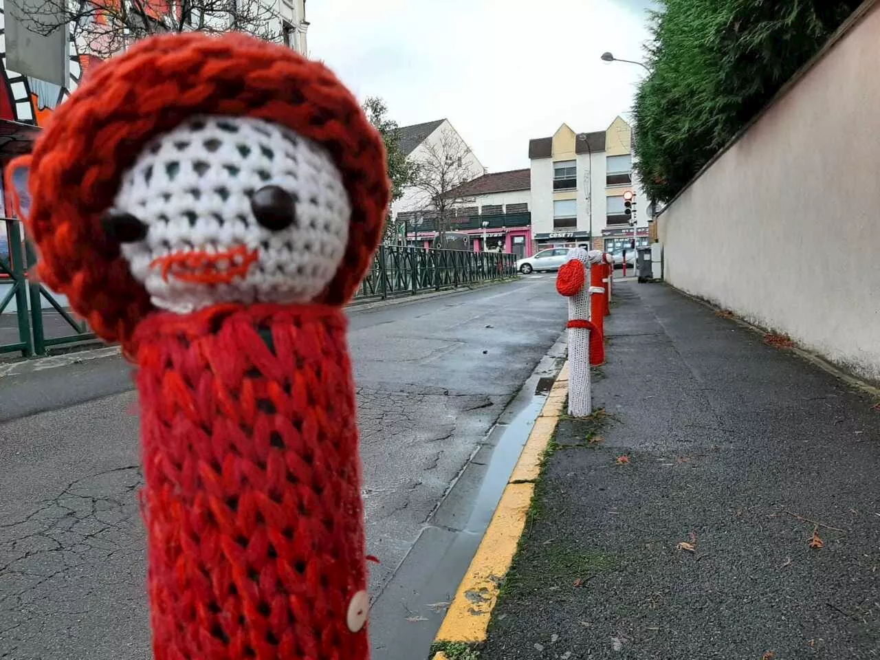 Seine-et-Marne : à Noël, elle tricote des décorations pour embellir sa rue !