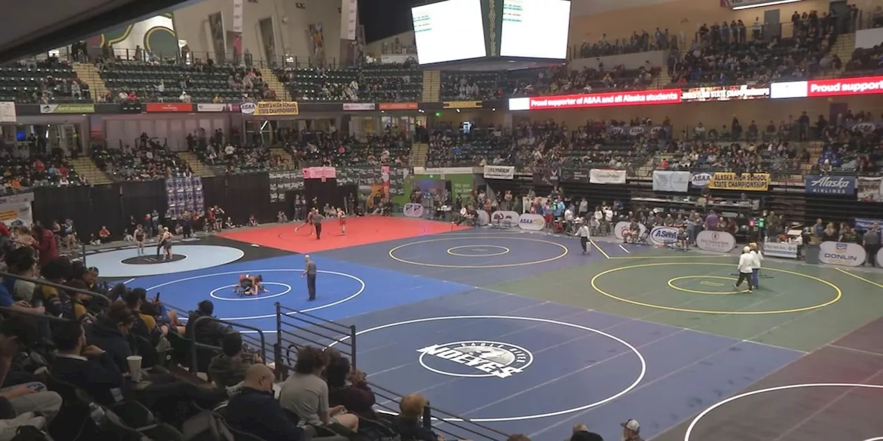 2024 State Wrestling Recap: Soldotna repeats as girl’s champion, newcomer reigns supreme in Division I