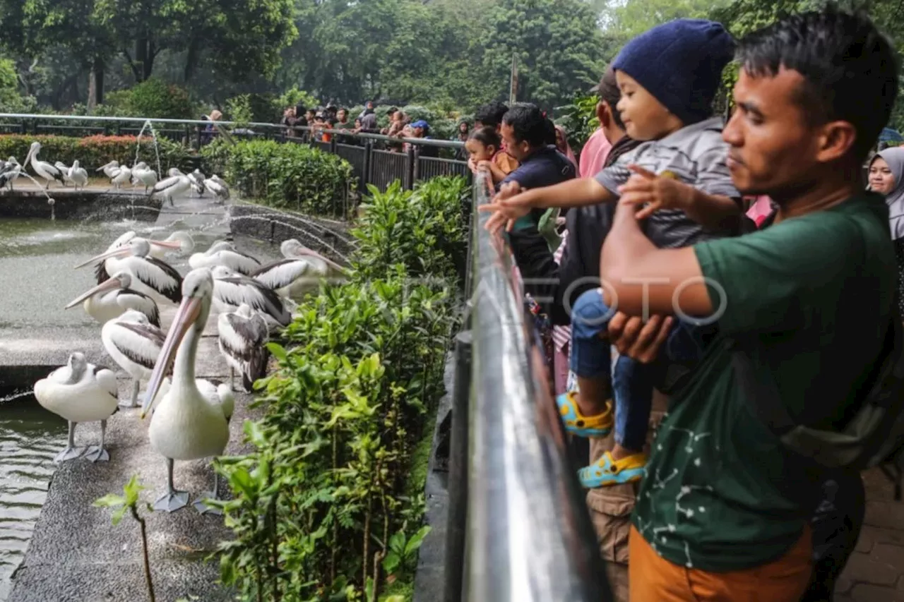 Jumlah Pengunjung Ragunan Naik 2 Kali Lipat di Hari Natal