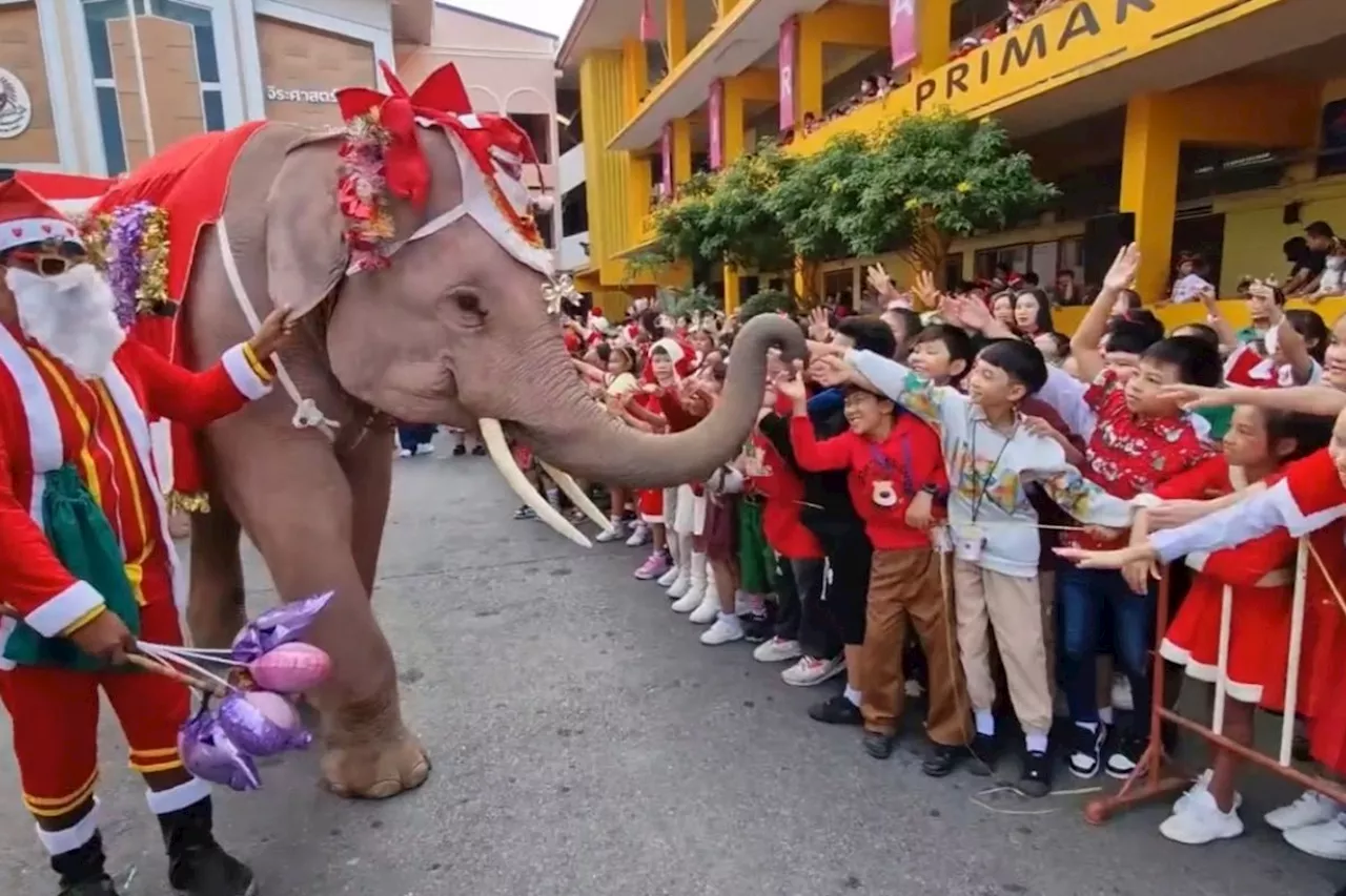 Parade Gajah Santa Claus Meriahkan Natal di Thailand