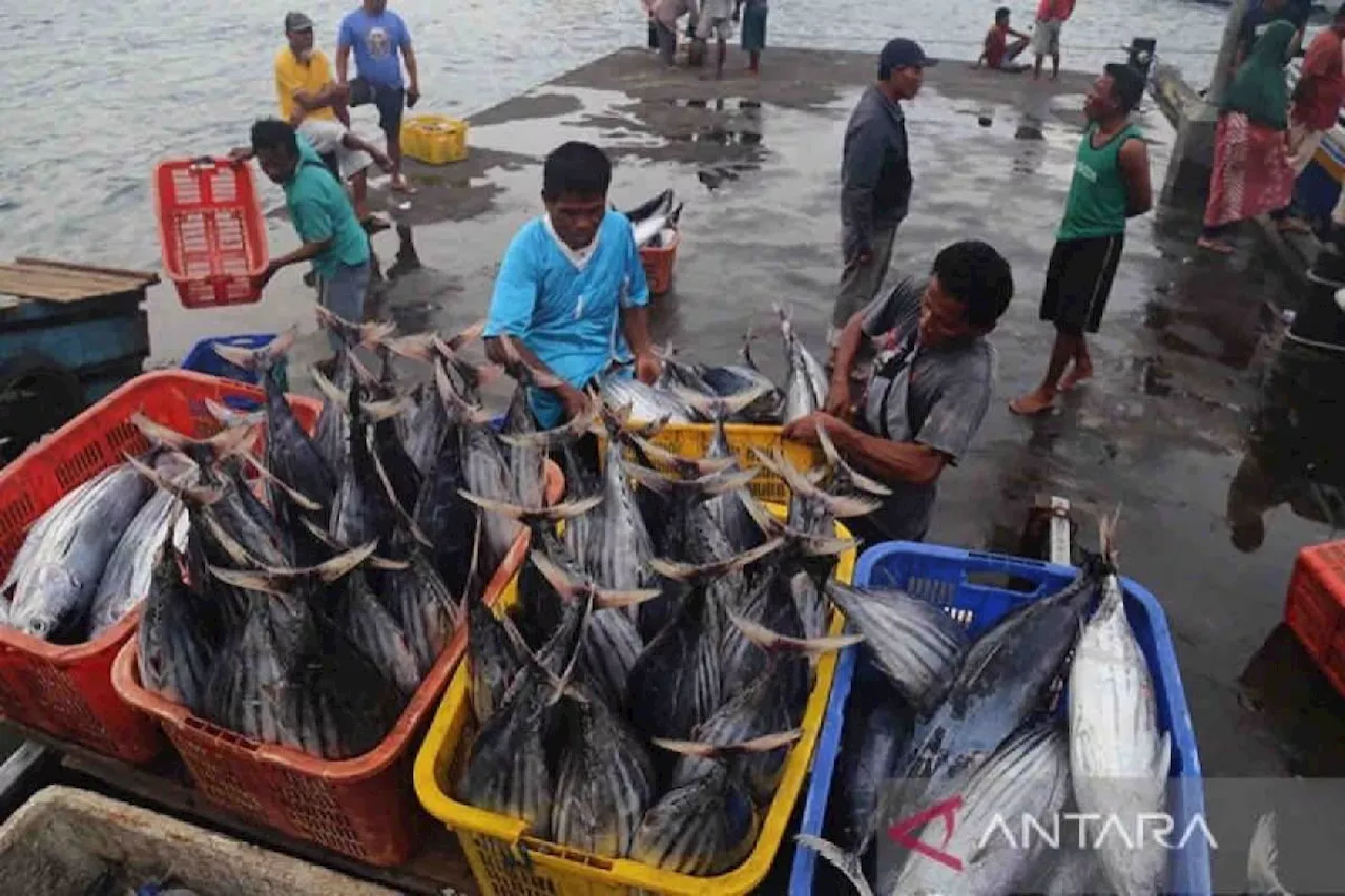 Pemerintah Berikan Bantuan Rp104,8 Miliar untuk Sektor Perikanan Tangkap