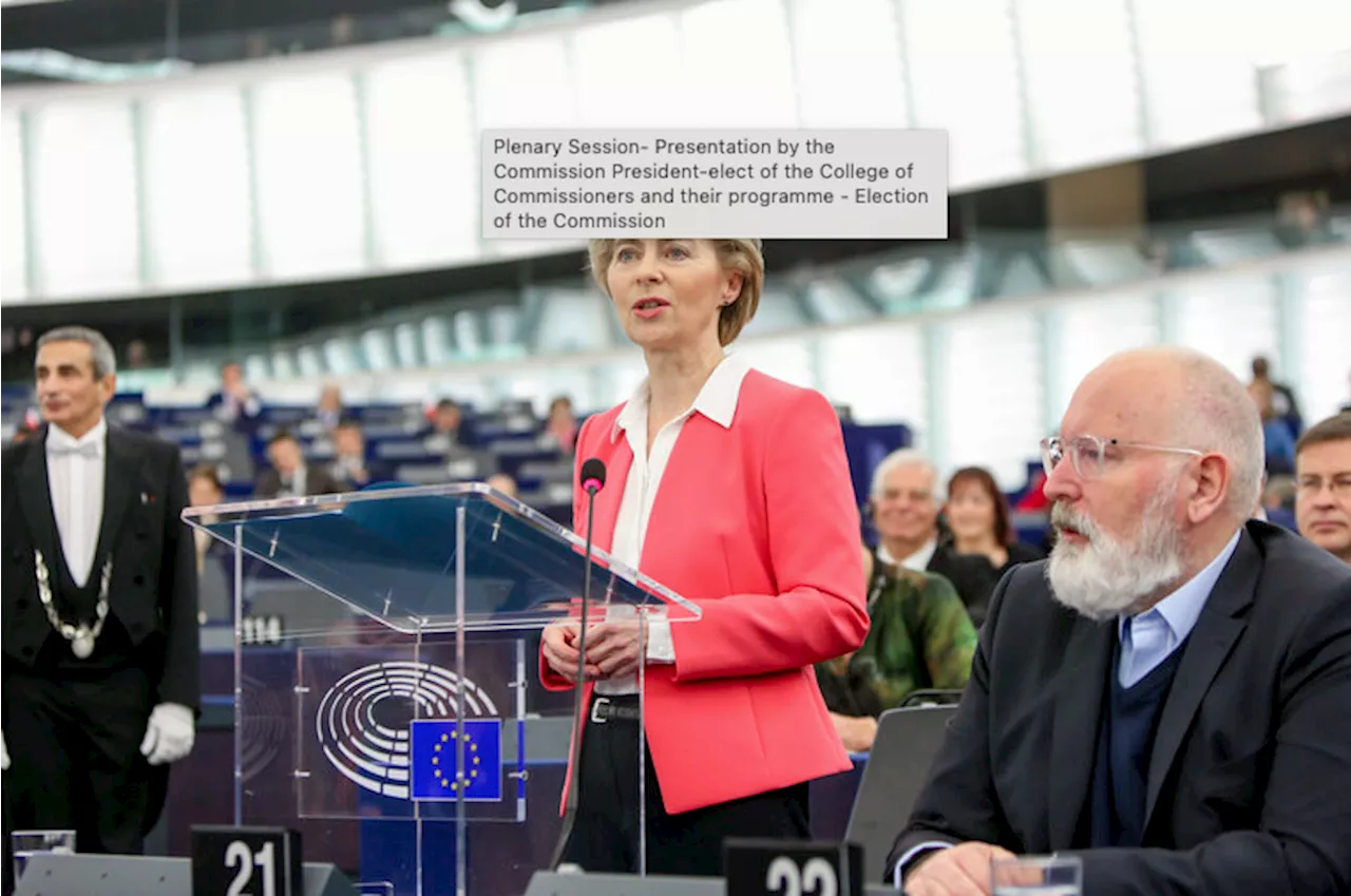EU-Parlamentet: En Begrænset Demokratisk Rolle