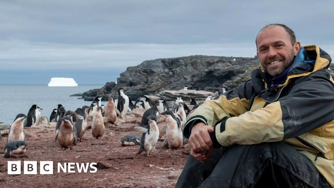 Penguins and Christmas Dinner: How One Researcher is Spending the Holidays in Antarctica