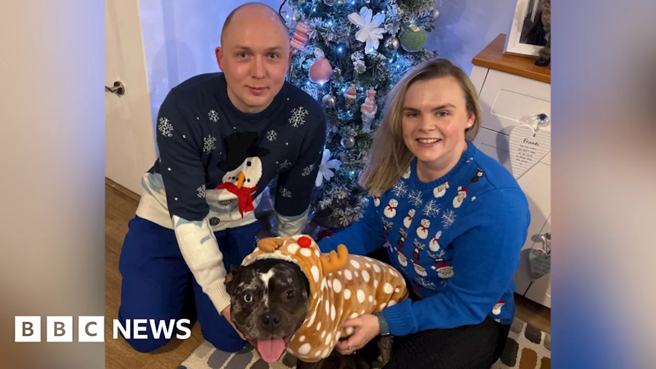 Rescue Dog to Spend First Christmas with New Family