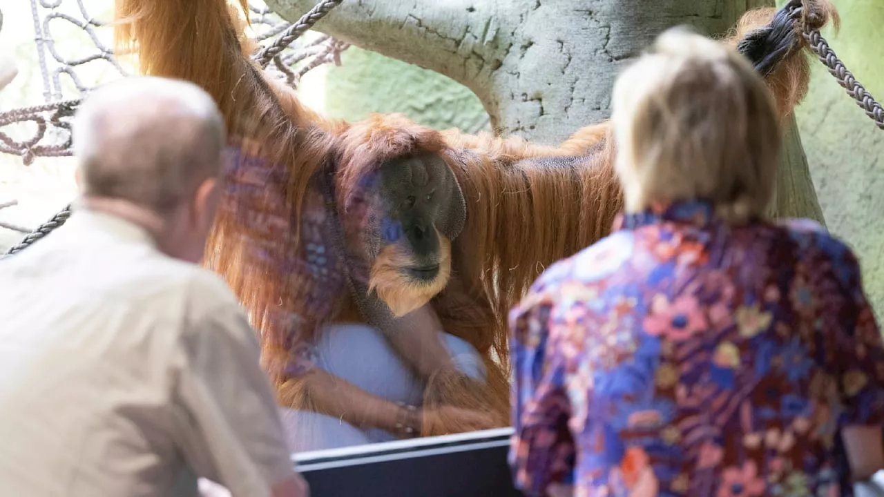 Zoo Dresden freut sich über zahlreiche Erbschaften und Spenden