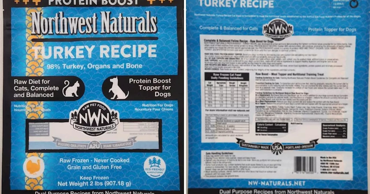 Pet Food Recall After Cat Dies From Bird Flu