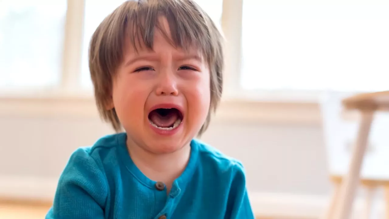 Commentary: Keep calm and carry on your routines – how to manage children over festive celebrations