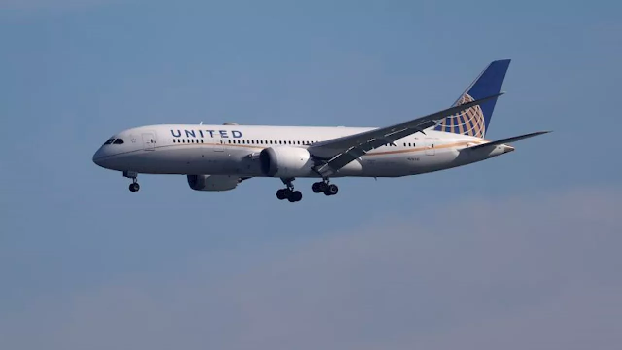 Cadáver encontrado en el hueco de la rueda de un avión de United Airlines en Hawai