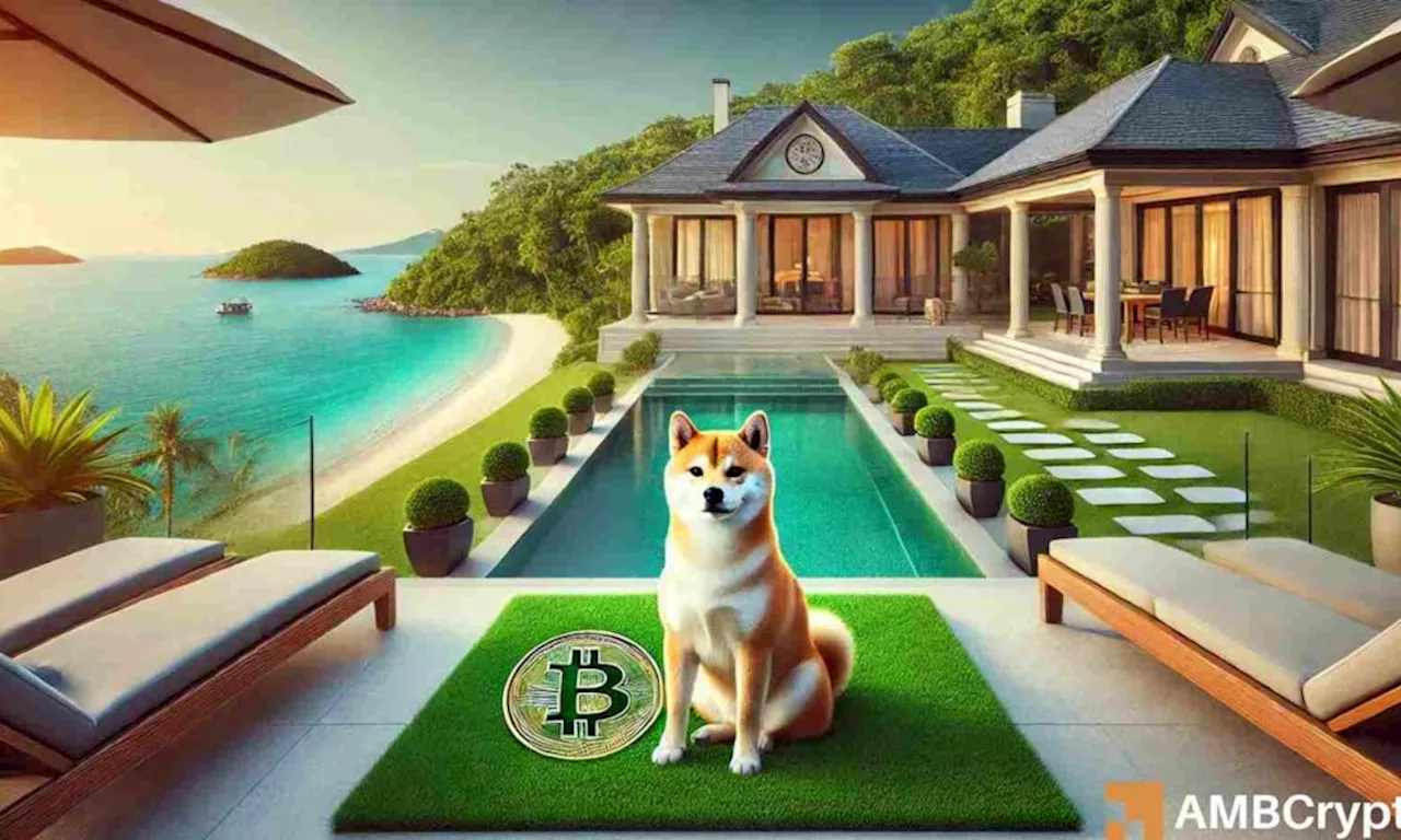 Can SHIB Flip You to $1 Million?