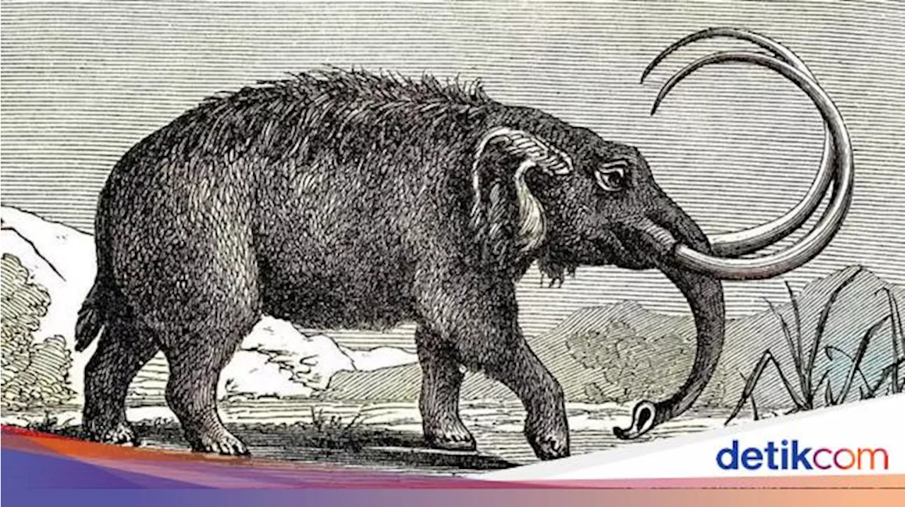 Penemuan Rahang Mastodon Raksasa di Halaman Belakang Rumah