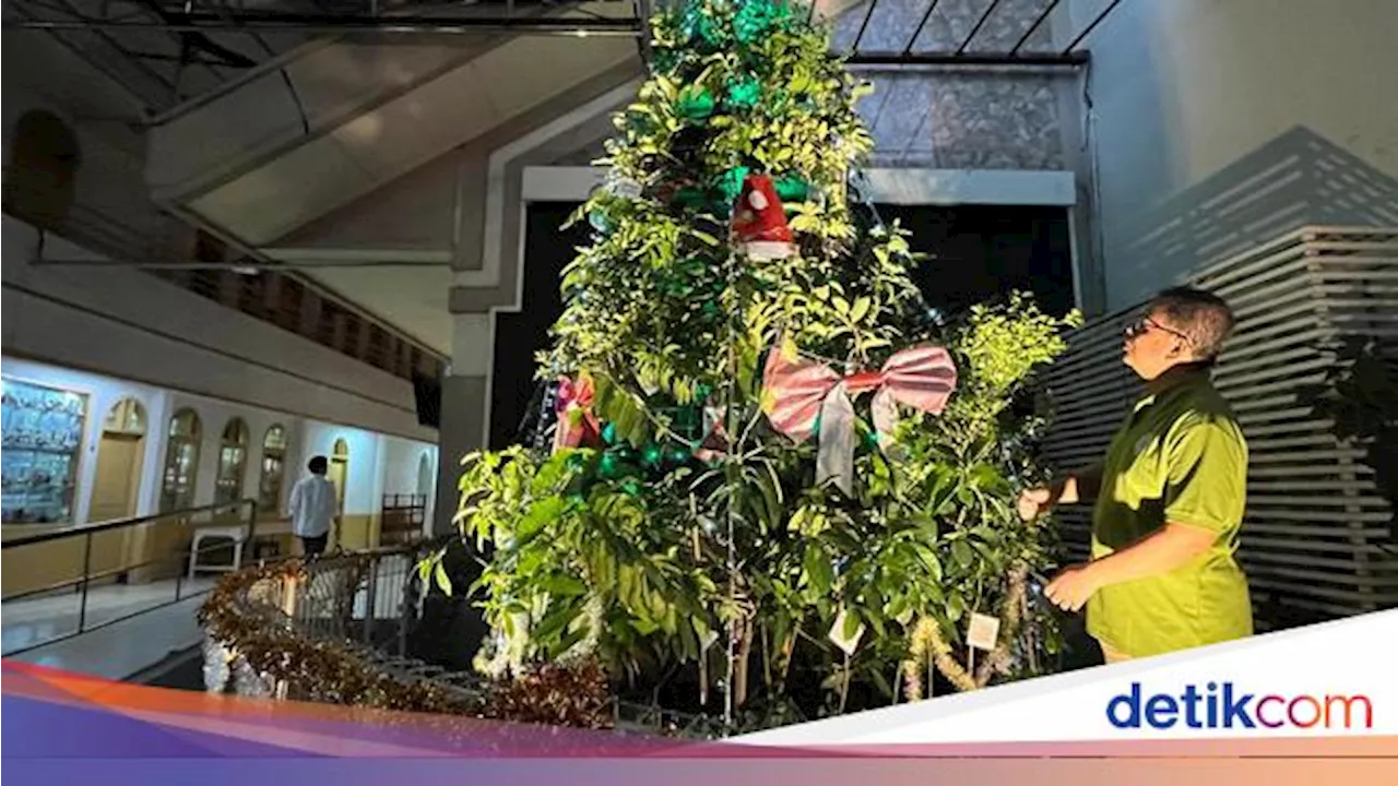 Sejarah Pohon Natal dan Tanaman Natal lainnya