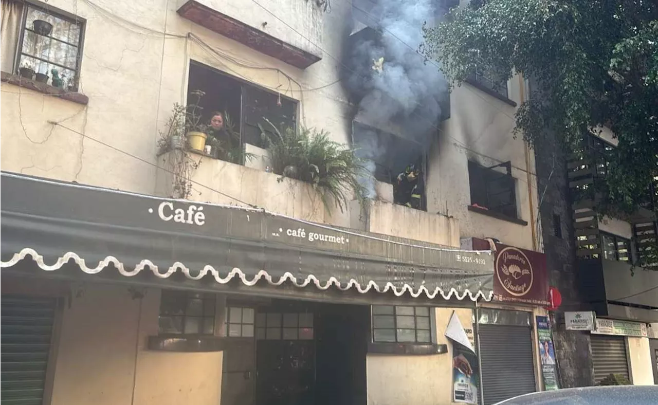 En Navidad, muere perrita 'Cali' en incendio de la CDMX; 'ella era buena', lamenta su familia