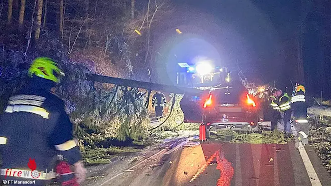 Bgld: Heftiger Sturm fordert zahlreiche Einsätze im Bezirk Oberwart → verletzte Person nach Baumsturz auf Auto auf B 50 bei Mariasdorf