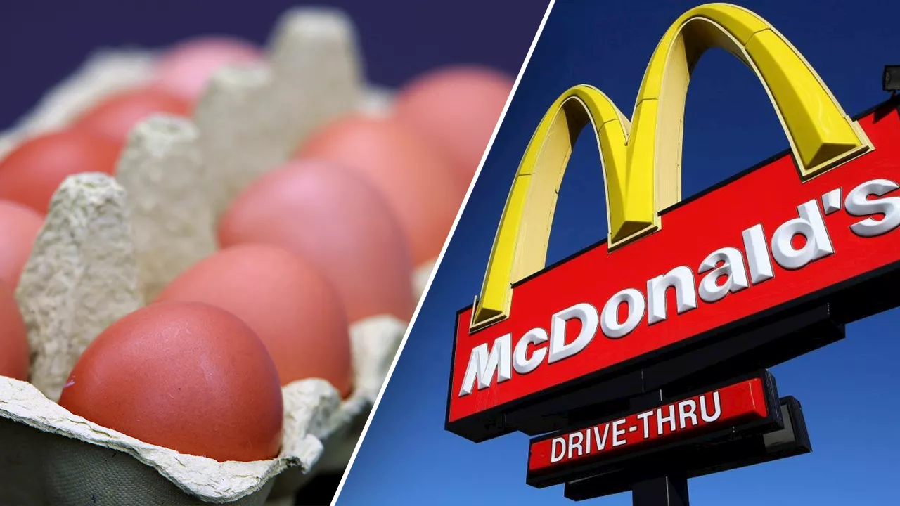 Are Fast Food Egg Sandwiches Really Made With 'Real' Eggs?