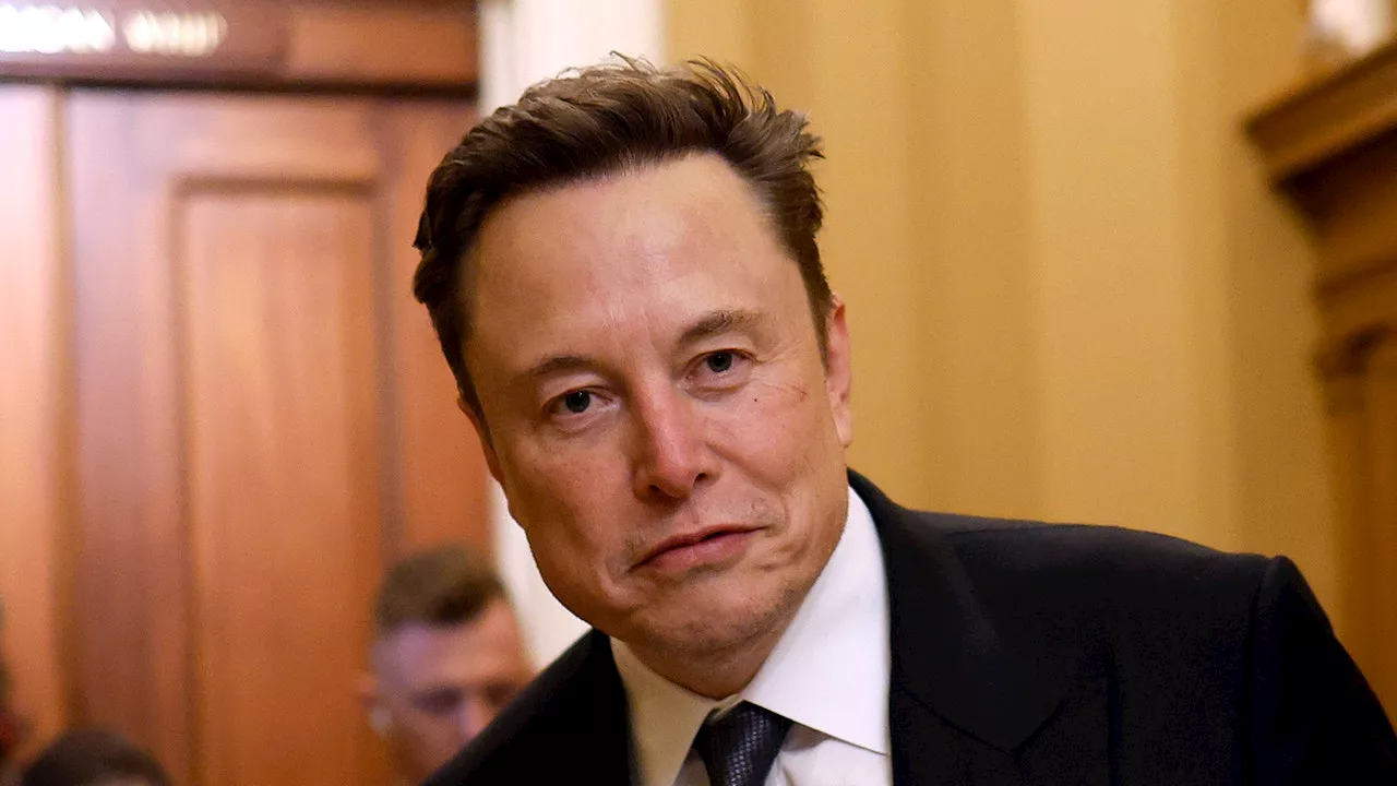 Elon Musk Advocates for Unlimited Job and Business Creation Potential