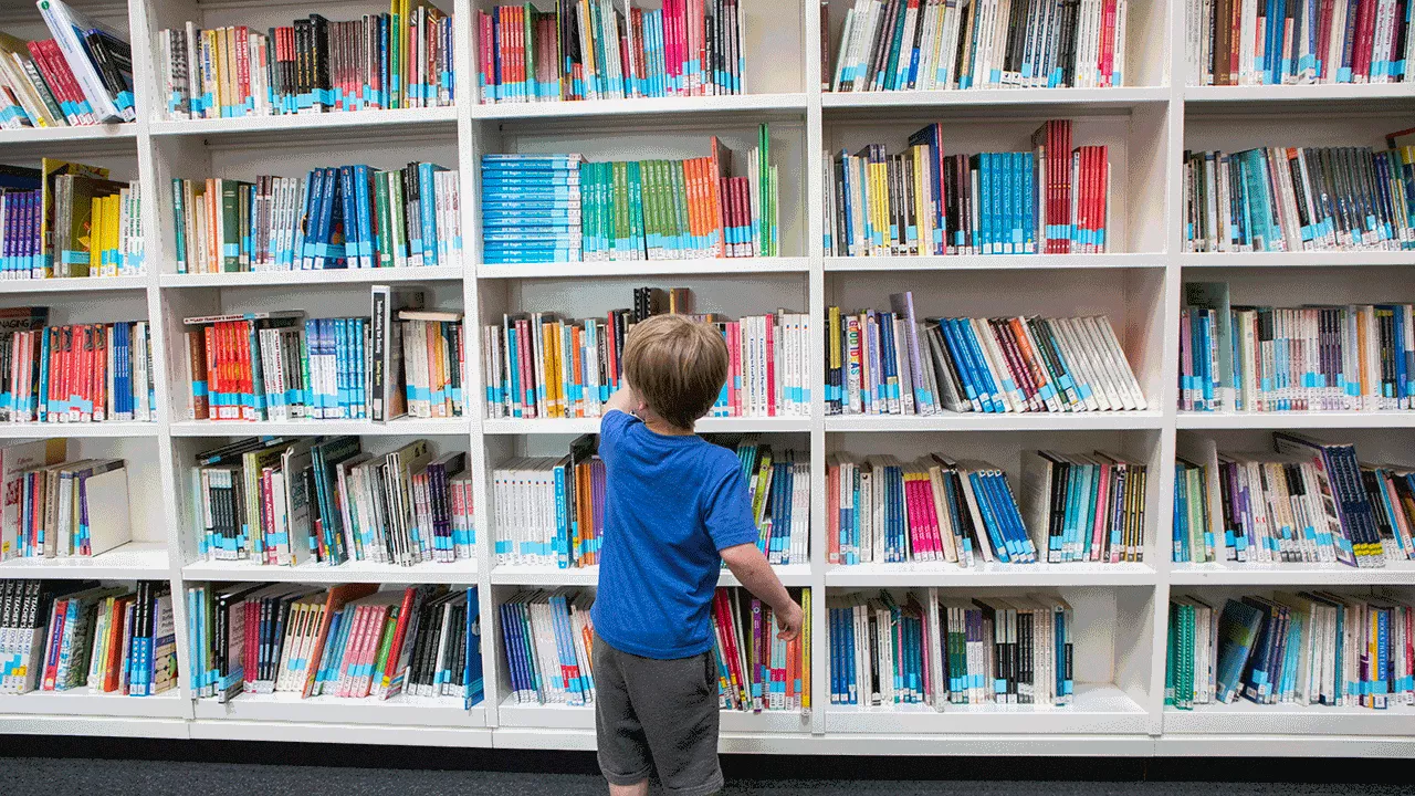 Federal Judge Blocks Arkansas Law Targeting 'Harmful' Library Materials