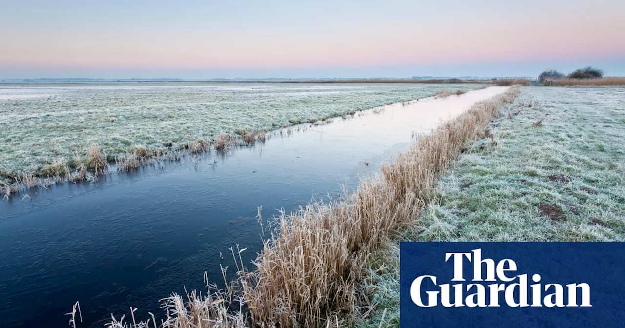 Canadian researchers trial nature trick to boost mood in winter