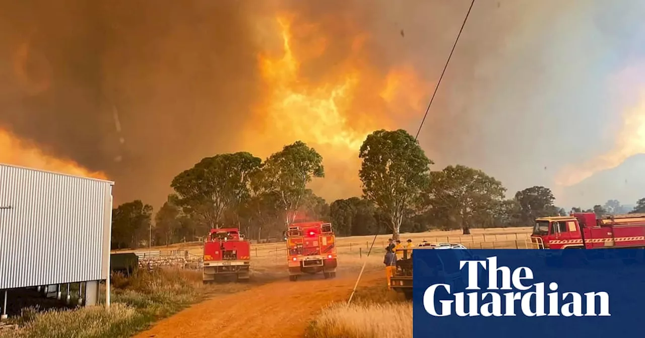 Extreme Fire Danger Looms as Winds Fan Blazes in Victoria