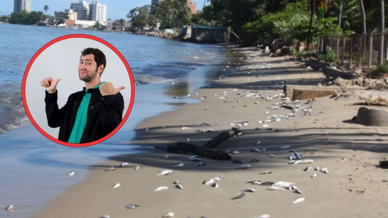 6 Playas en México Contaminadas: Cofepris Advierte sobre Riesgos para Tu Salud